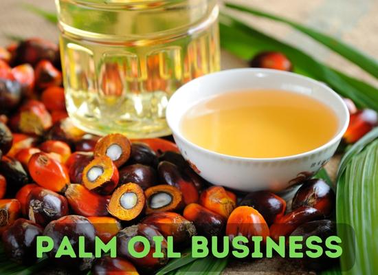palm oil farming business