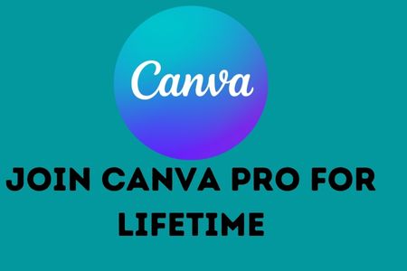 Bingotingo canva Pro free 2022